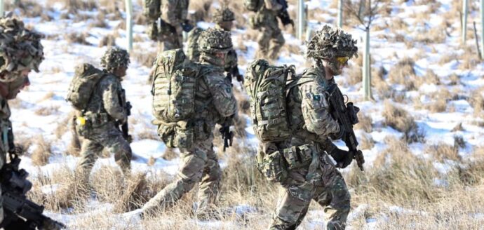 Army reserves